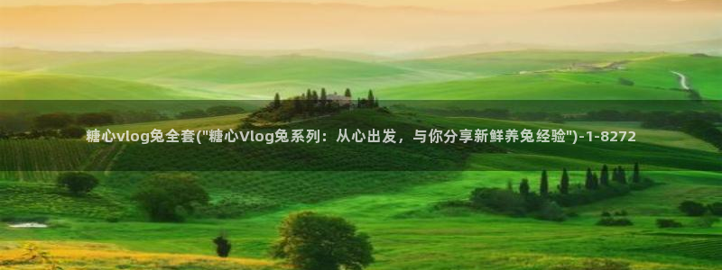 糖心vlog怎么刷