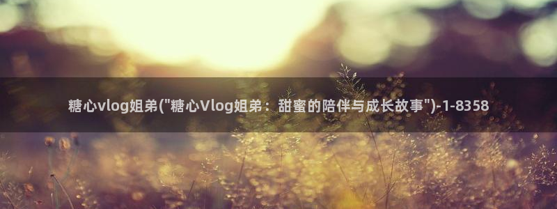 糖心出品vlog一区二区