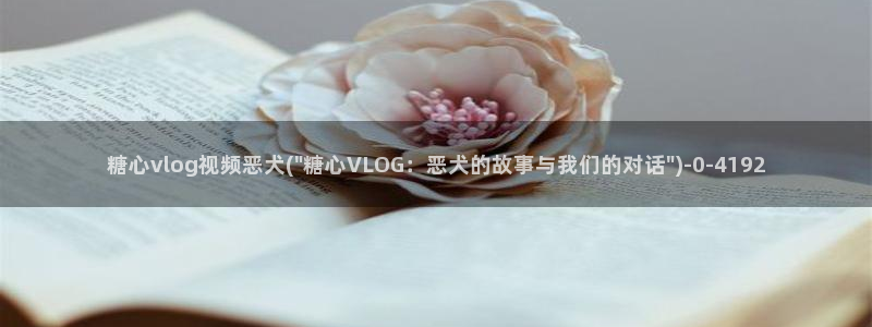 糖心VLOG小桃大片