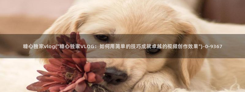 糖心VLOG破解金币：糖心独家vlog(\