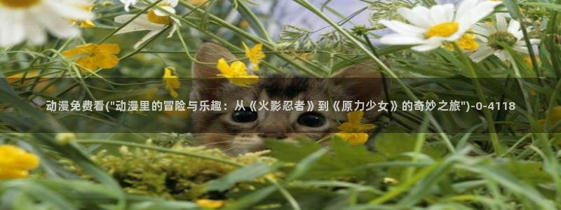 伦理动漫