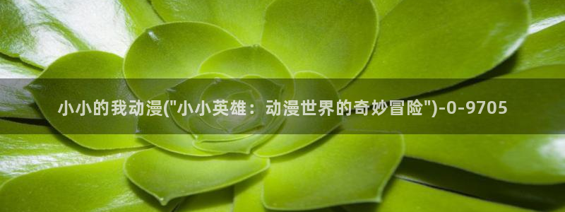 z动漫